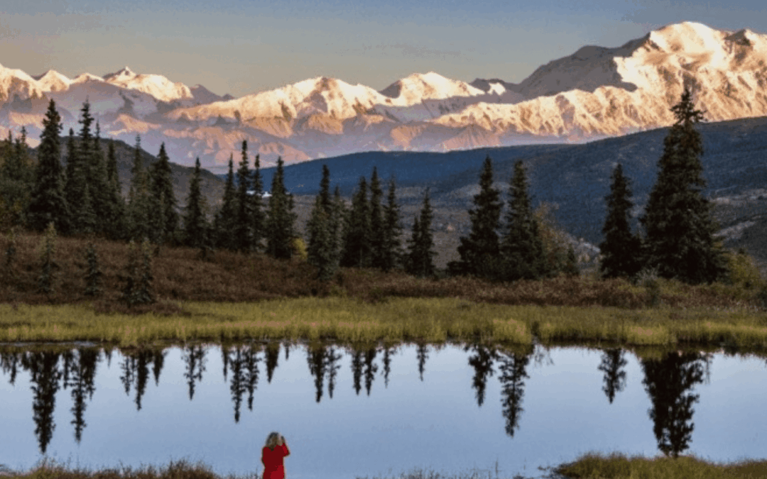 Alaska más allá de la costa: Descubre «The Denali Experience» de Seabourn