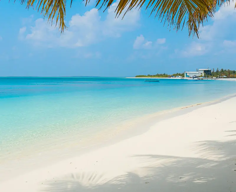 HOLLAND CARIBE 3