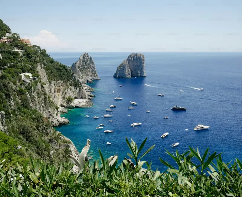 MSC MEDITERRANEO 1