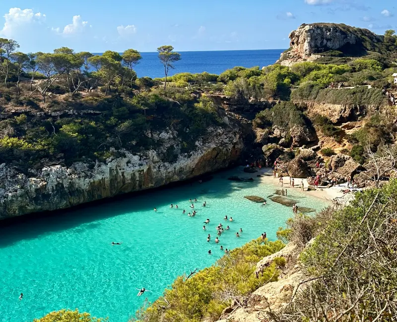 PCM MALLORCA